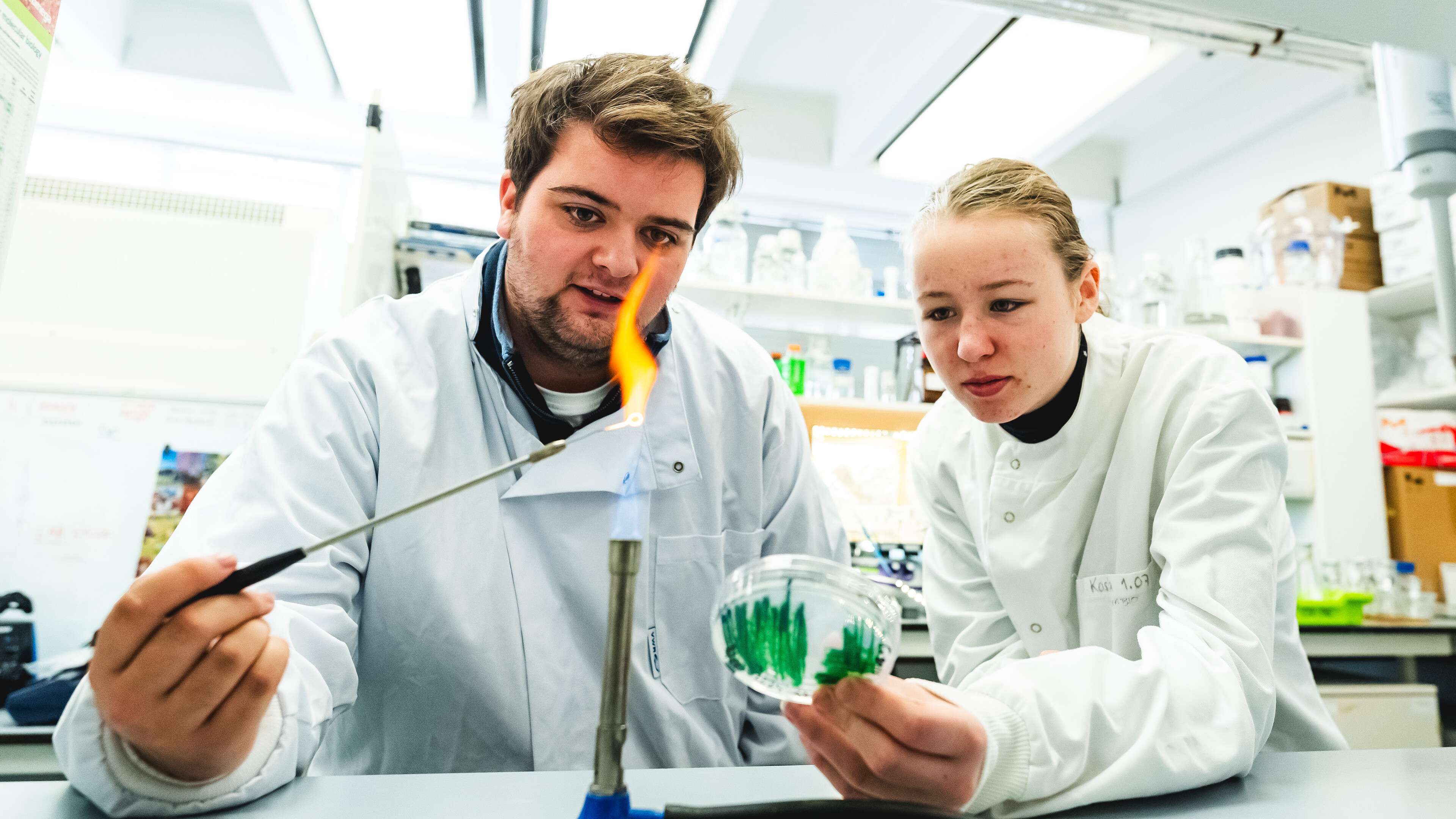 Biological science students working together in a laboratory