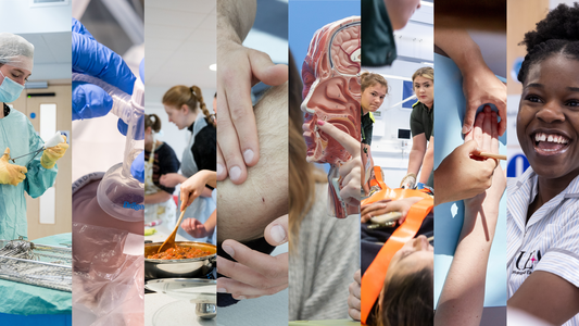 Spliced images of a range of HSC specialisms
