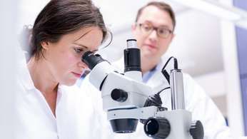 Postgraduate students studying in the lab