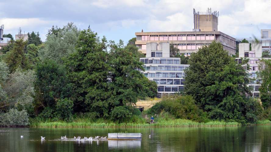 The Broad at UEA