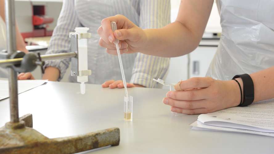 Sixth form students attending summer schools in Maths, Geography, Engineering, Law, Chemistry and Pharmacy.