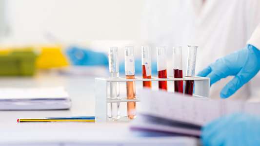 ENV students in a UEA Science lab on campus