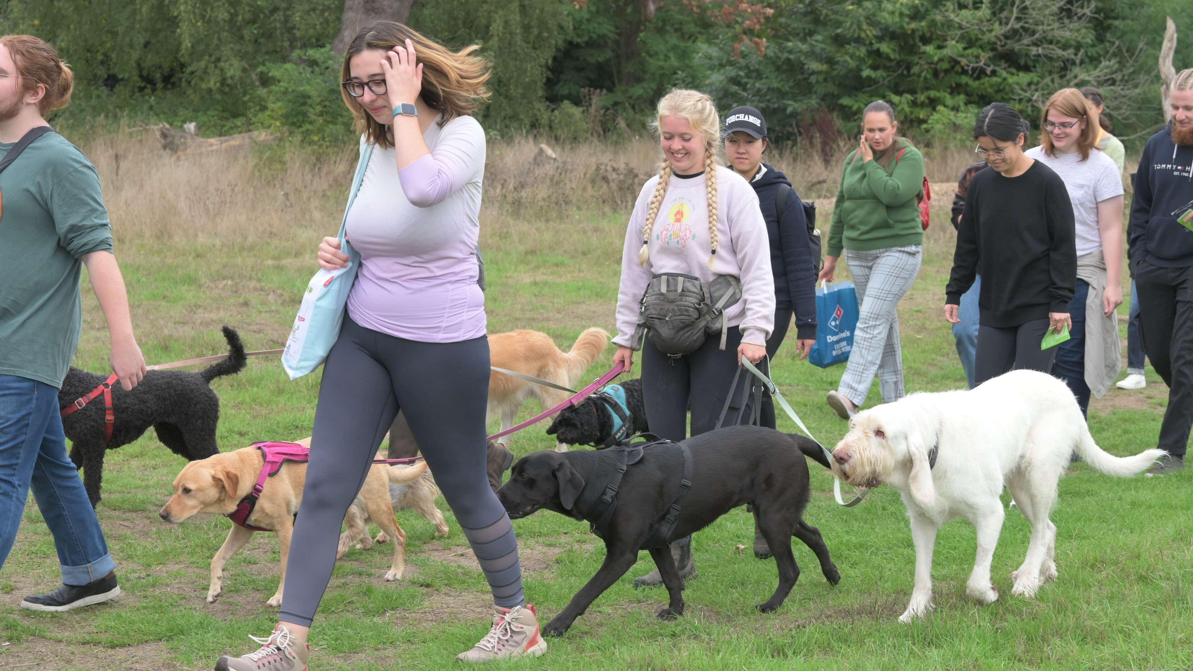 A group of people walking dogs.