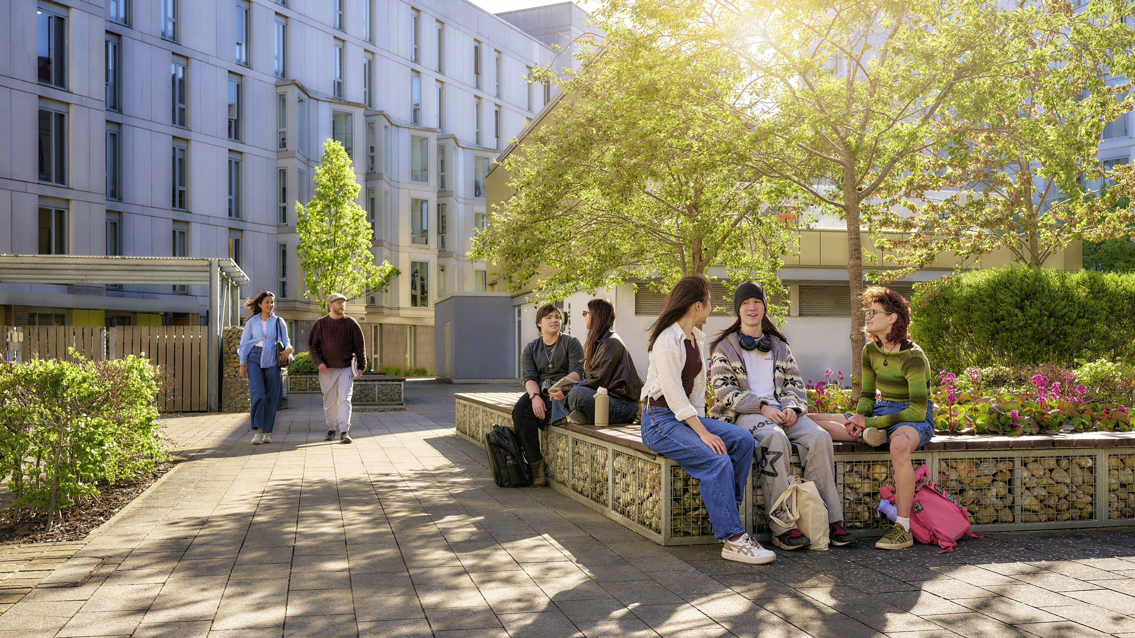 Students sit on benches under trees, surrounded by an accommodation block.