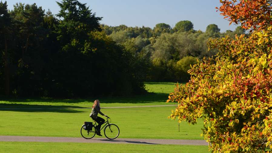 Students travelling on Campus by Bike in 2015