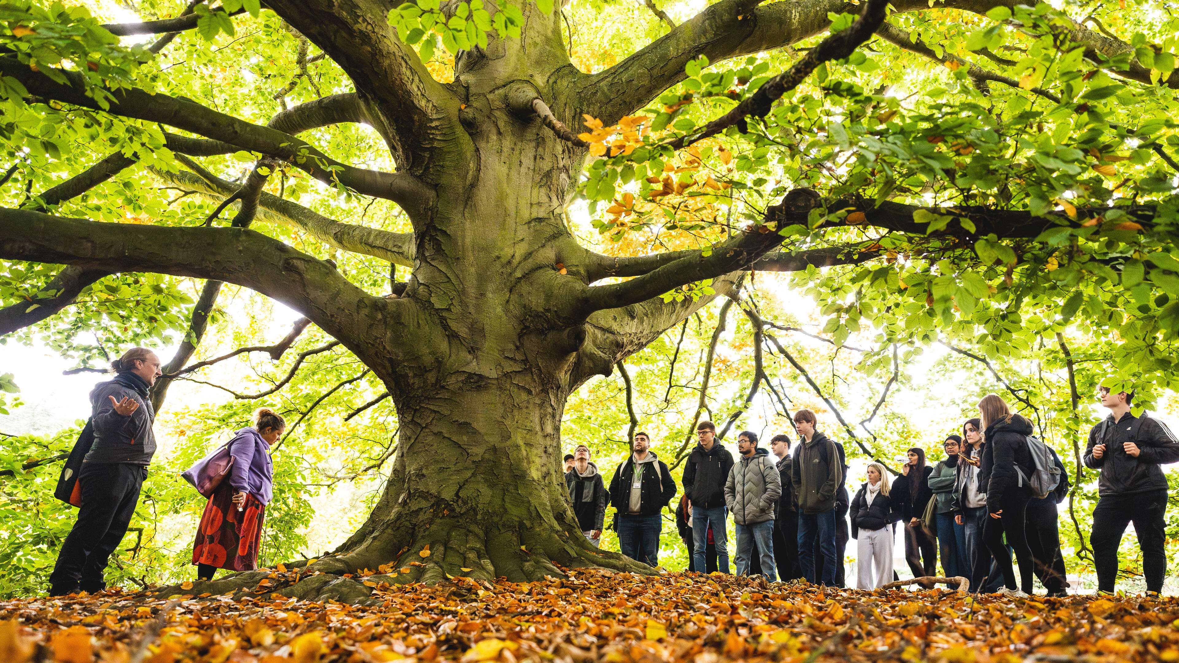 Biological science students exploring fungi on campus