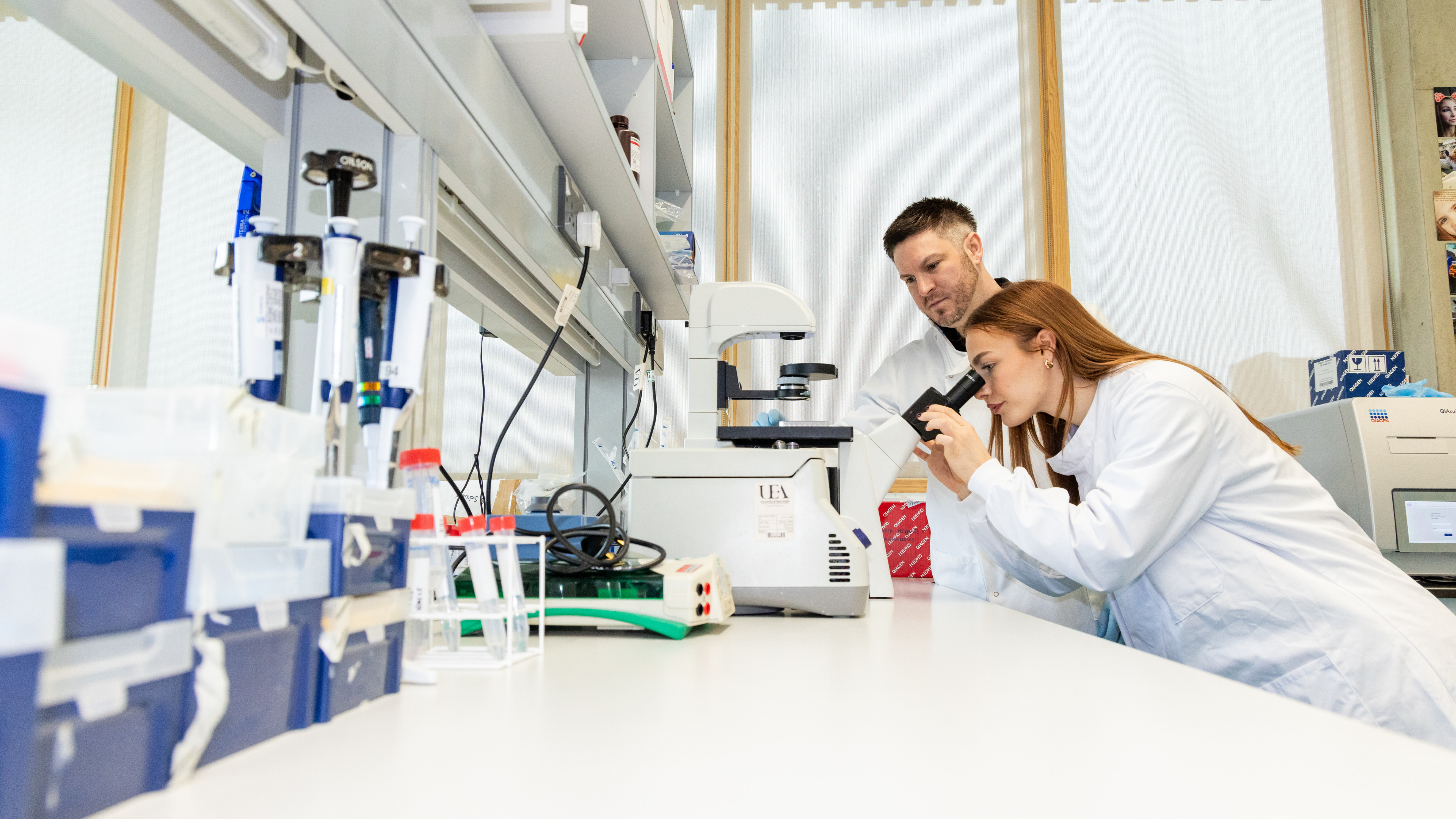 Team working in lab