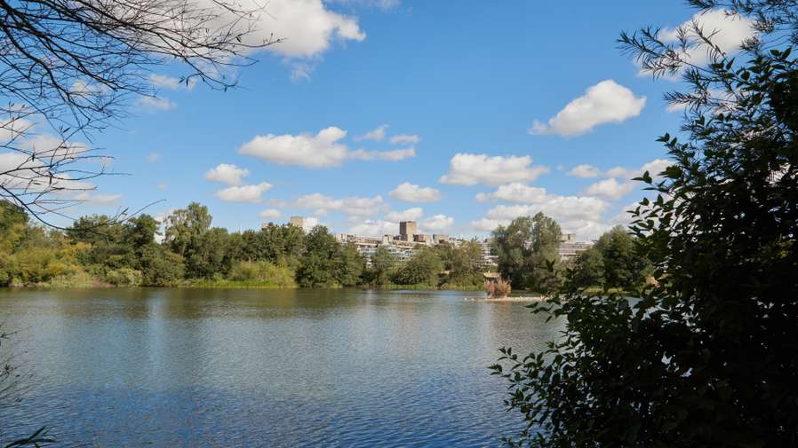 The Broad - UEA campus