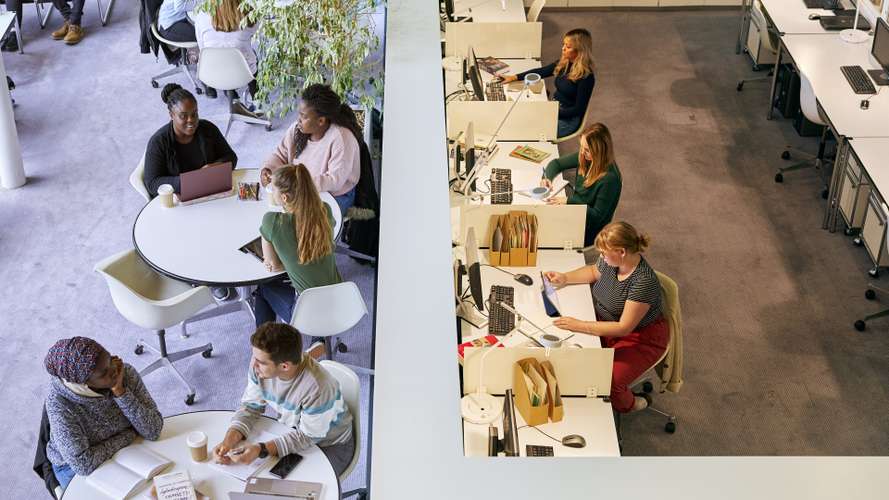 Students working and studying together