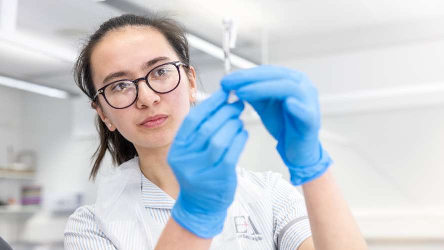 Health Sciences student looking at medical equipment
