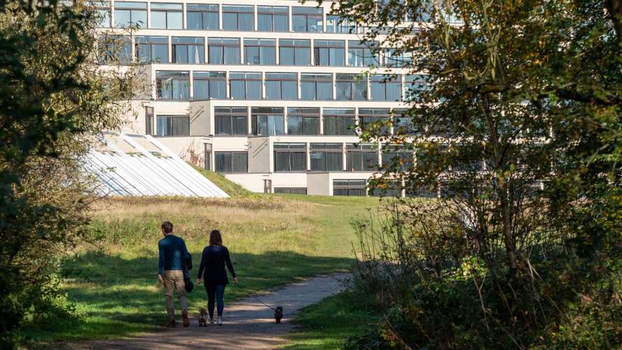 Ziggurats and Sainsbury Centre from the lake