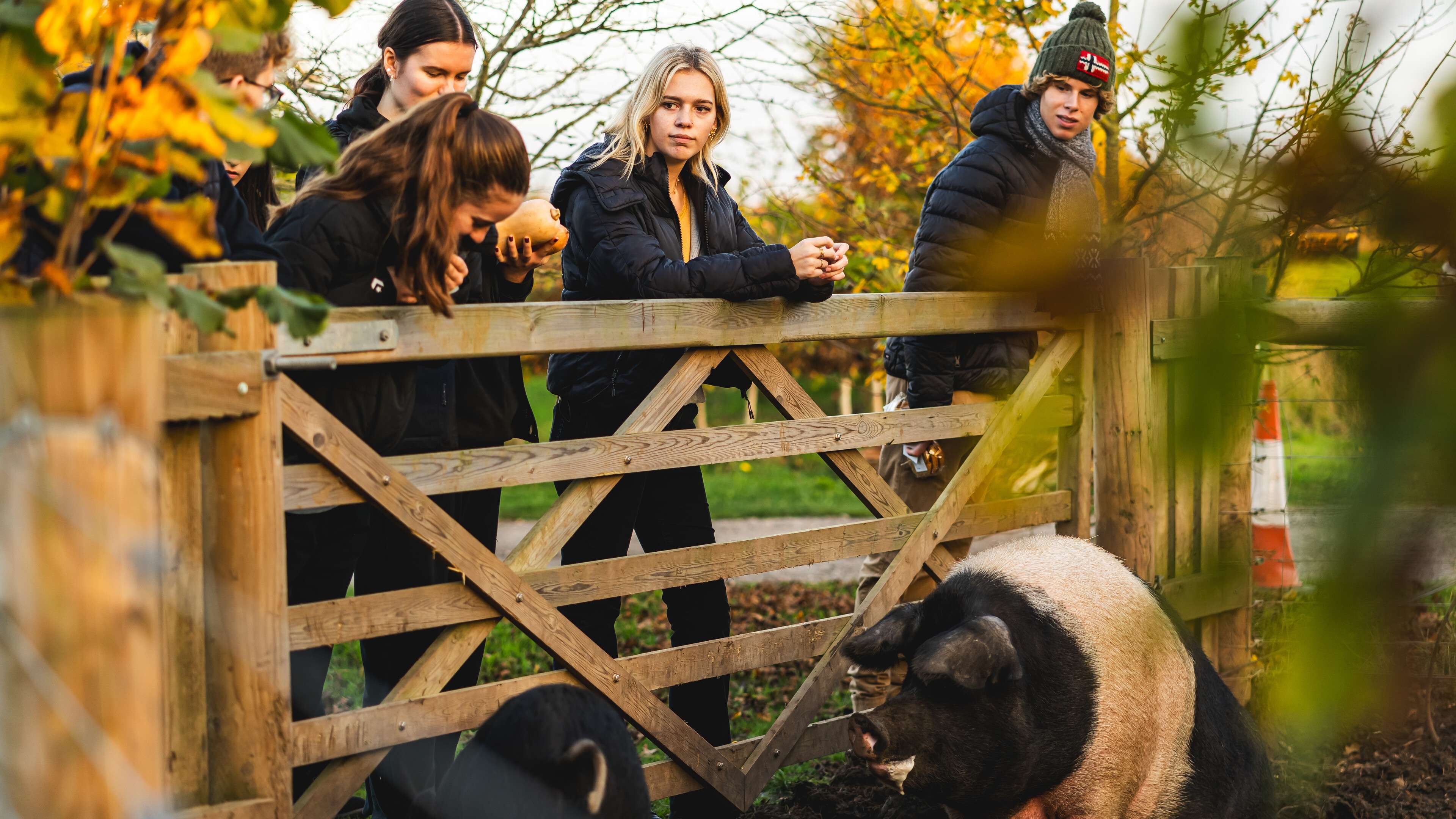 Global Development and Geography students in Holt, Norwich coastal area, taking part in an outdoor field trip at Eves Hill Farm.