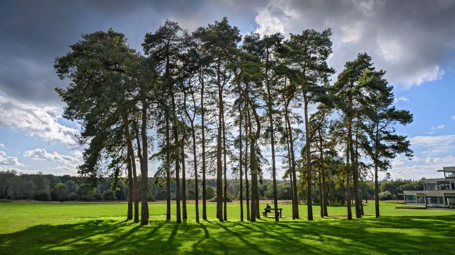 The green spaces looking from the main campus towards the Broad at the University of East Anglia.