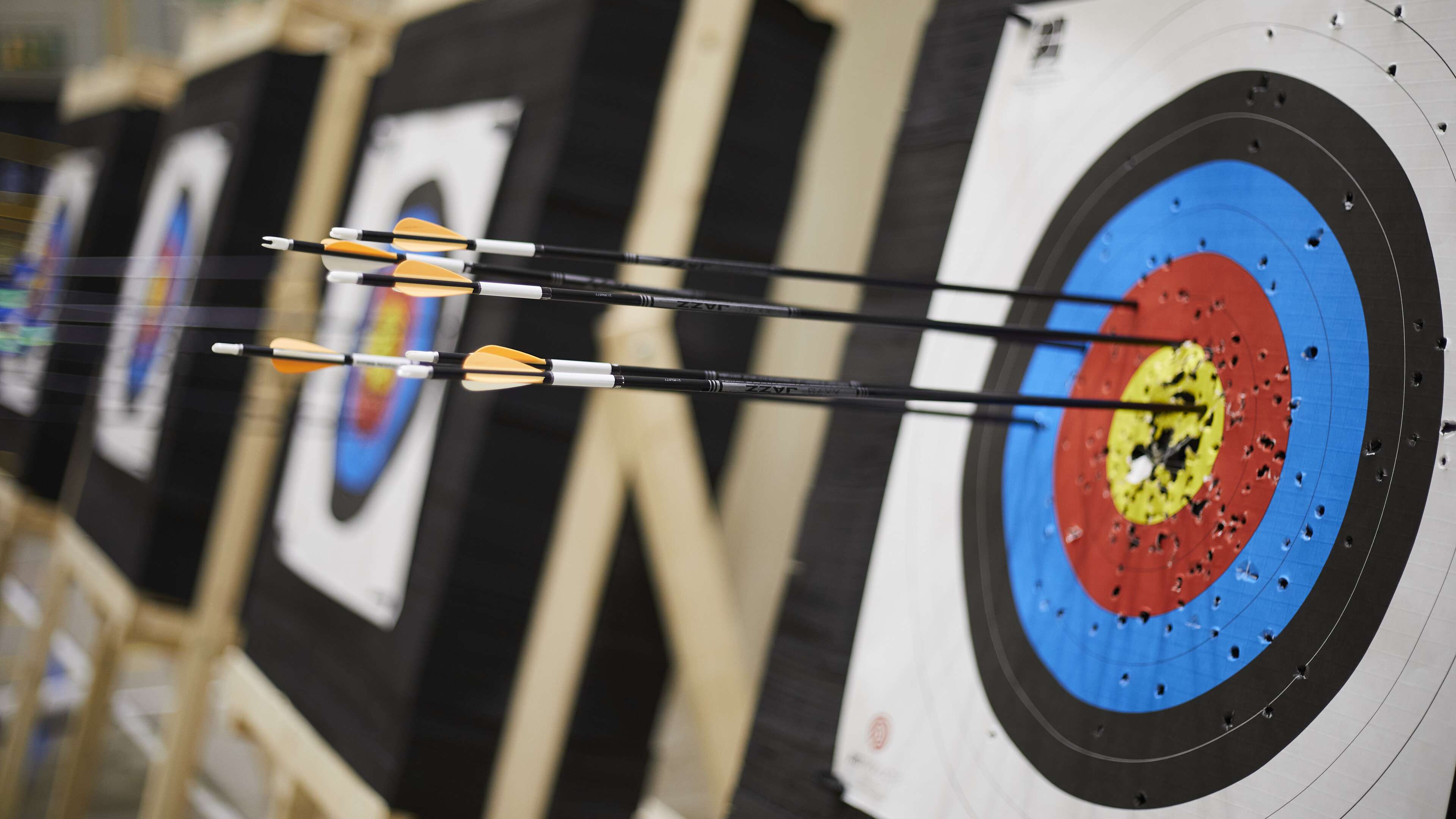 Arrows hitting the bullseye of an archery target, symbolising the precision and focus our students and researchers in Norwich apply to their work.