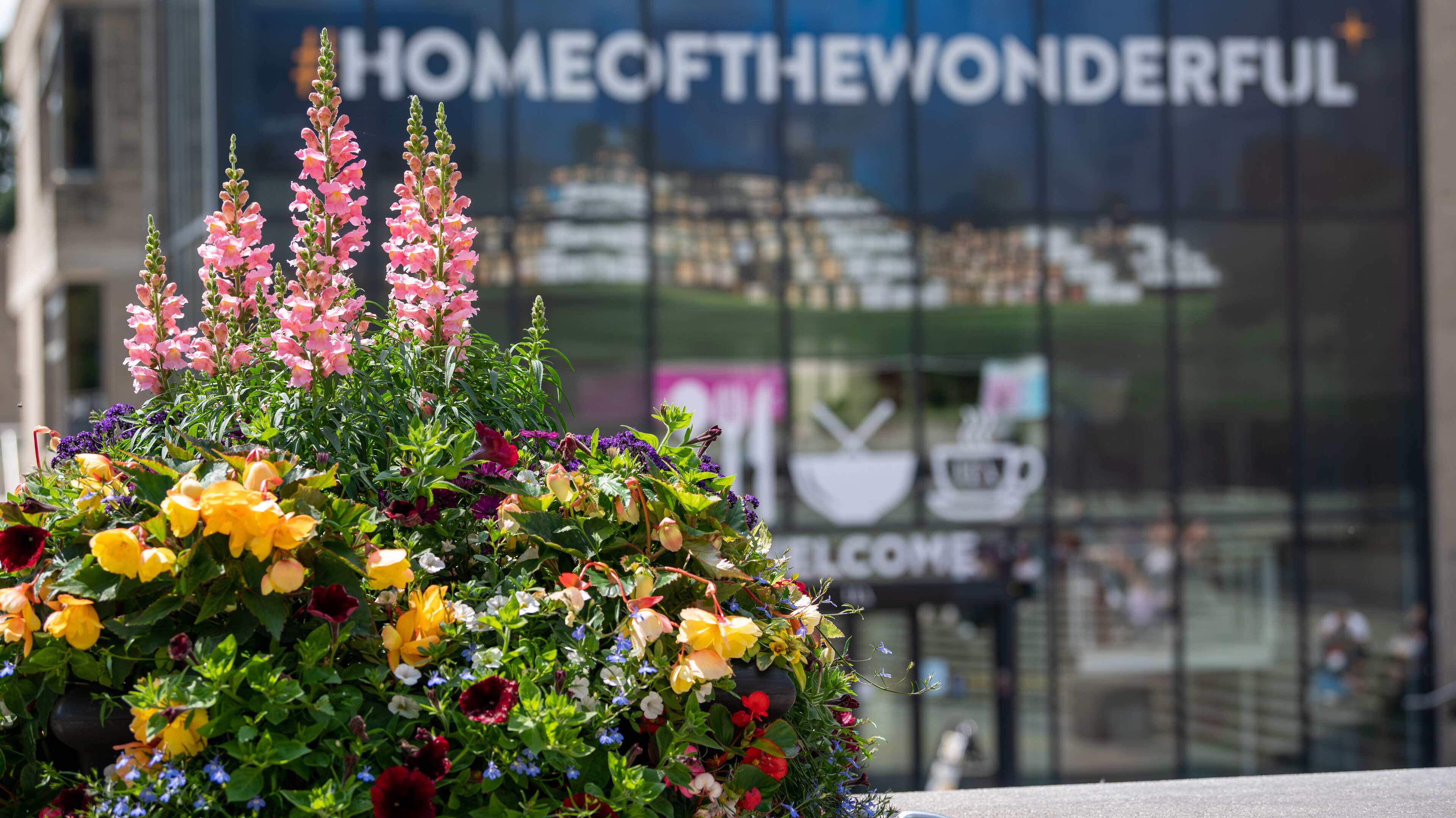 The Home of the Wonderful in the Square at UEA