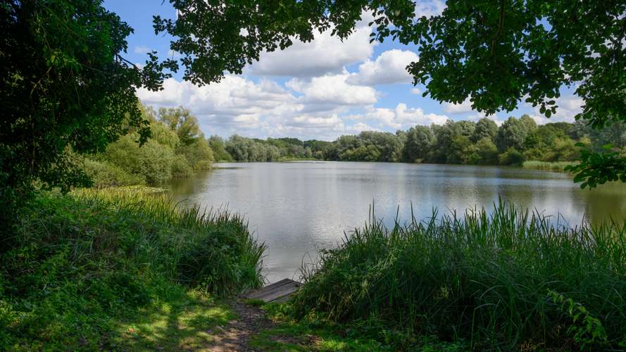 View of the Broad at UEA