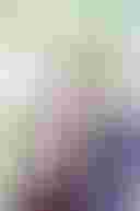 Loading clin ed theme pic...
