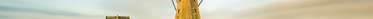 Norfolk Windmill for Website Header1 (1).jpg