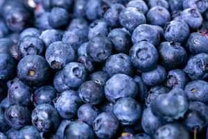 Close up of blueberries