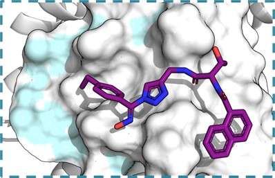 Molecular structure model with a purple compound fitting into a white, cloud-like surface, representing a molecular interaction.