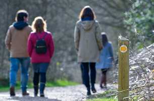People walking in a country setting