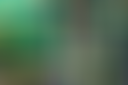 Loading image...