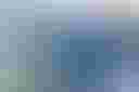 Loading image...