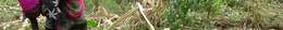 Woman bending over in a field