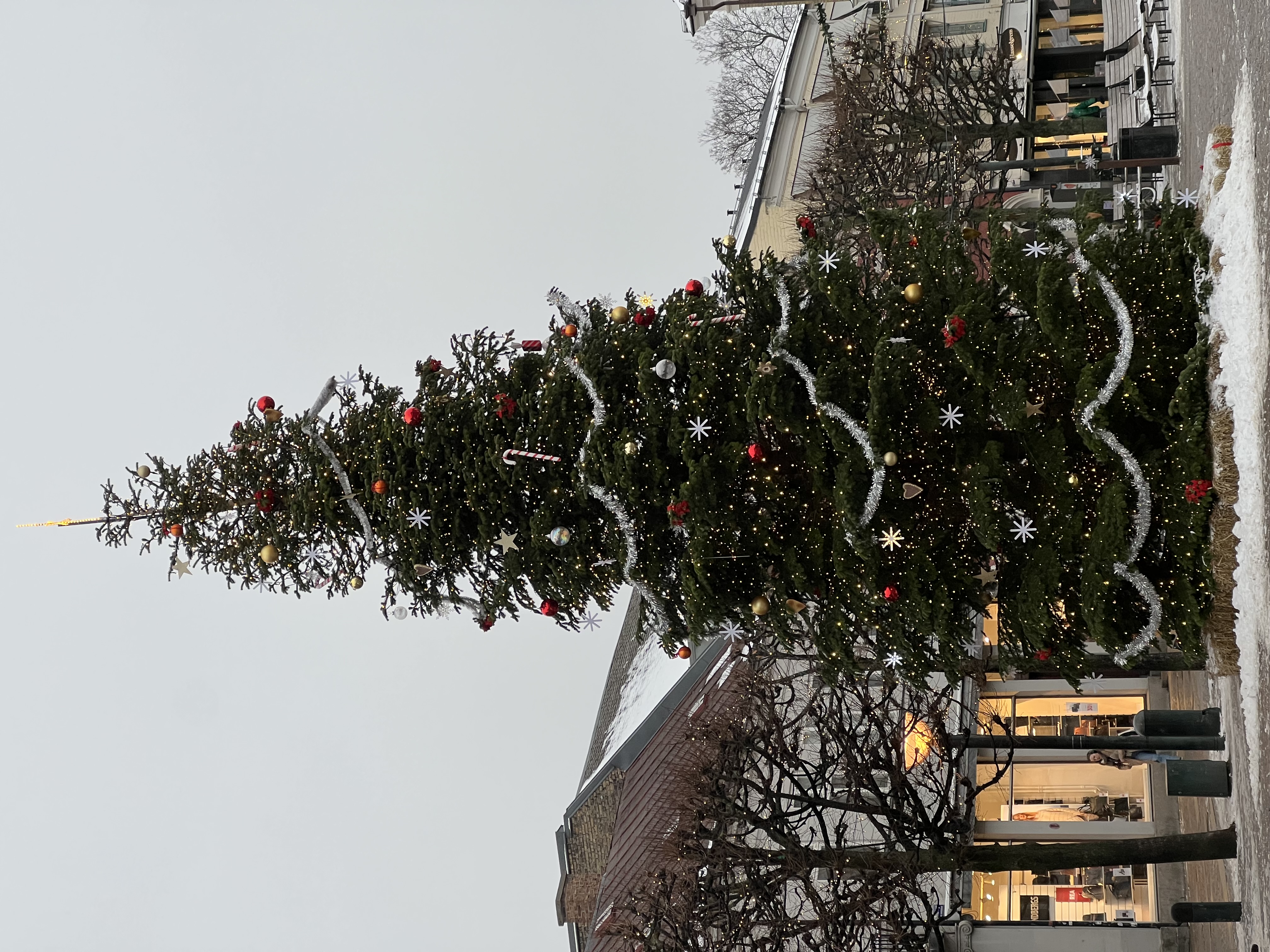 Christmas Tree