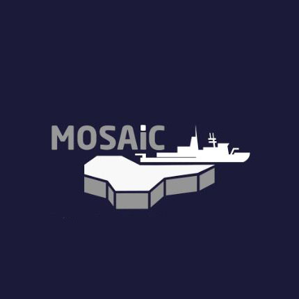 mosaic logo