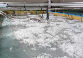 Roland von Glasow Air-Sea-Ice Chamber