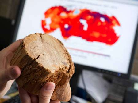 cru-tree-rings.jpg