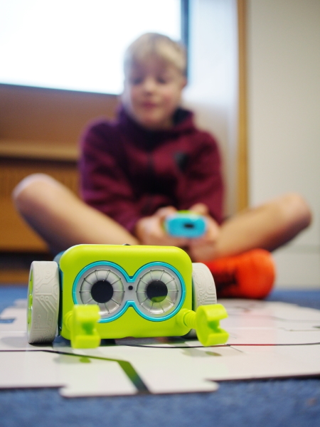 Child using Botley