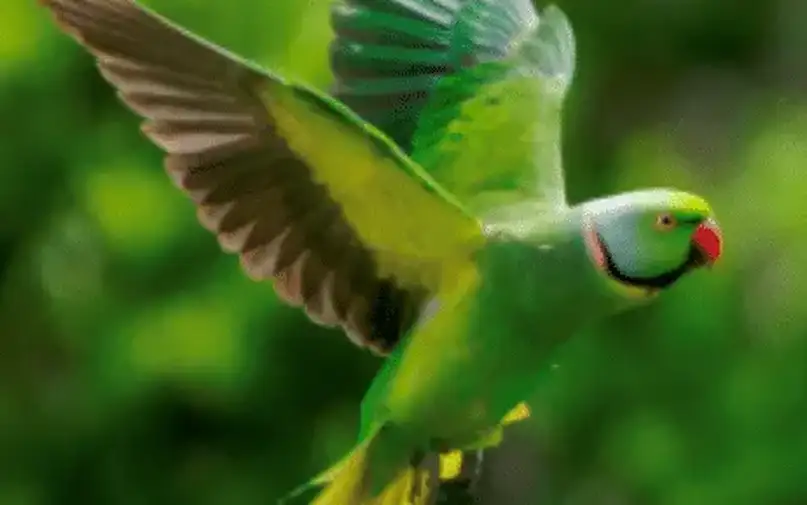 elsa-3-aspect-ratio-16-1png