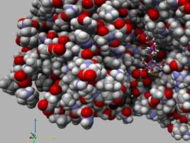 Molecular structure model with red, white, gray, and blue spheres, representing atoms, in a dense cluster.