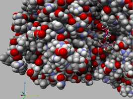 Molecular structure model with red, white, gray, and blue spheres, representing atoms, in a dense cluster.
