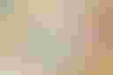 Loading image...