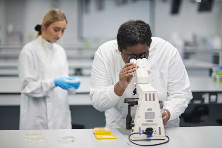 Two mature students wearing lab coats conducting a biological experiment in a laboratory. Person in foreground is looking through a microscope, person in background is out of focus, wearing blue gloves and holding a petri dish. There are petri dishes on the table next to the microscope