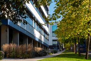 the side of the New Science building decorated with trees
