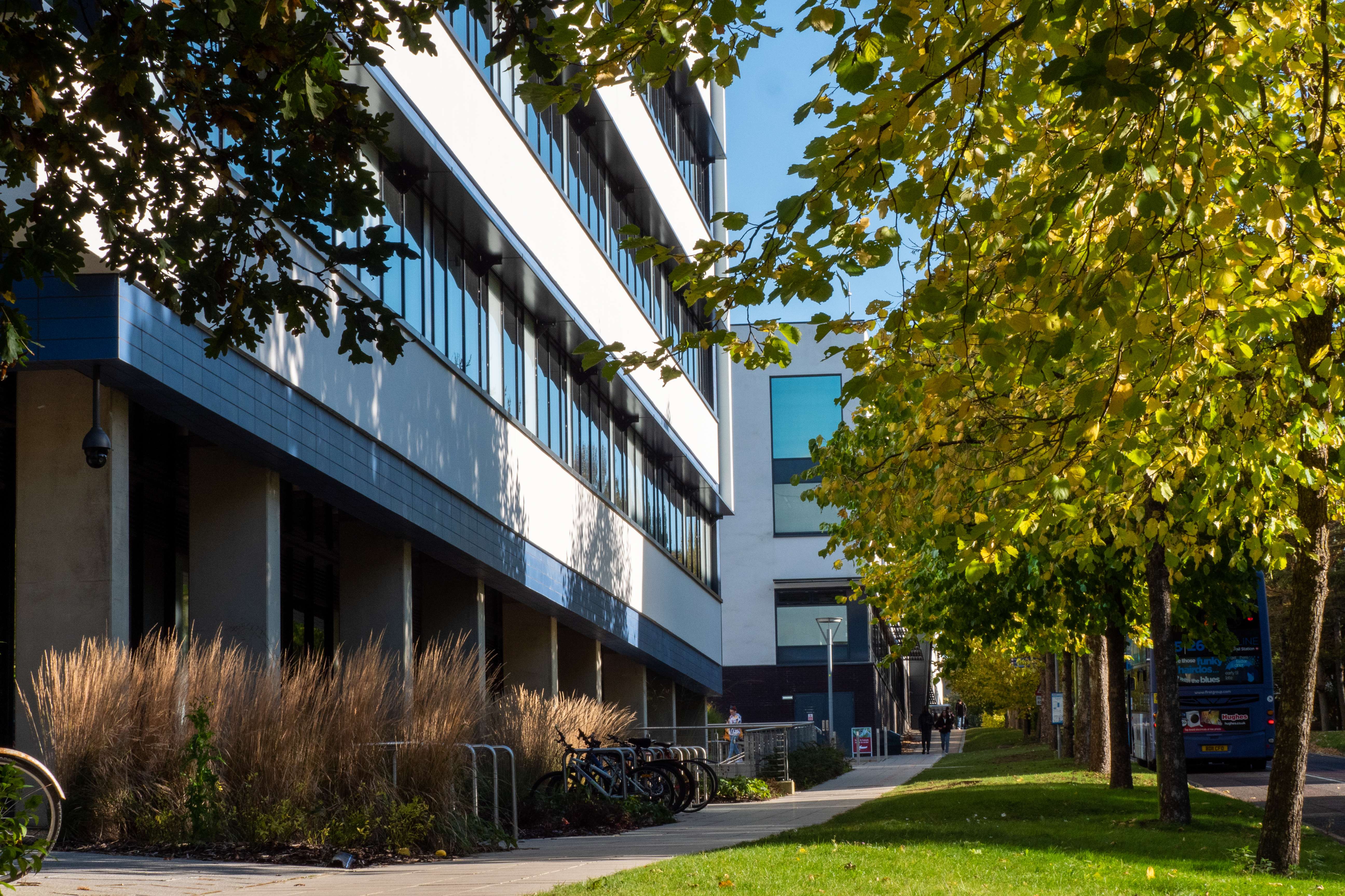 the side of the New Science building decorated with trees