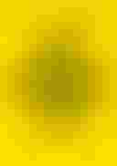 Loading The front cover of Logo Rewind which depicts a merchants' mark over a yellow background....