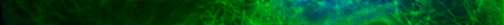 Blue and green coloured microscopic image