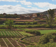 Sustainable Agriculture and Food Systems