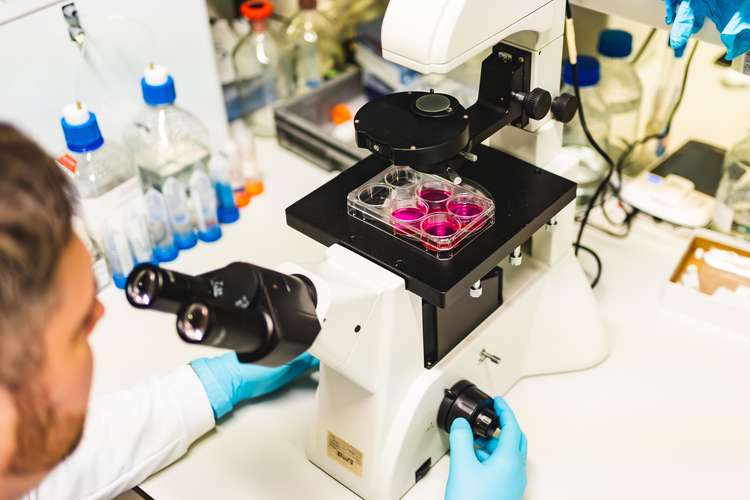 Dr Green Research lab