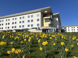View of Broadview Lodge from below looking up through a daffodil field