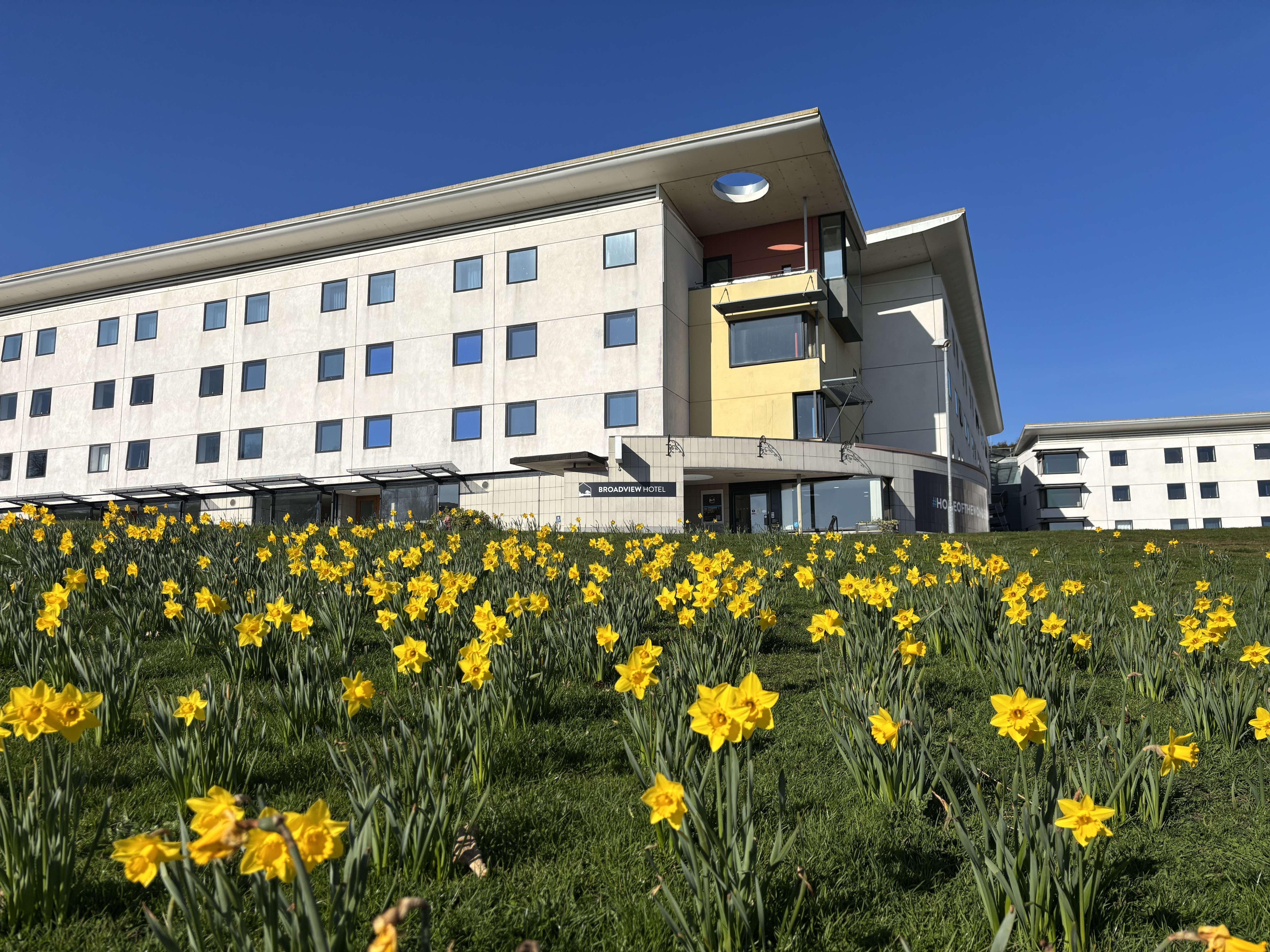 View of Broadview Lodge from below looking up through a daffodil field