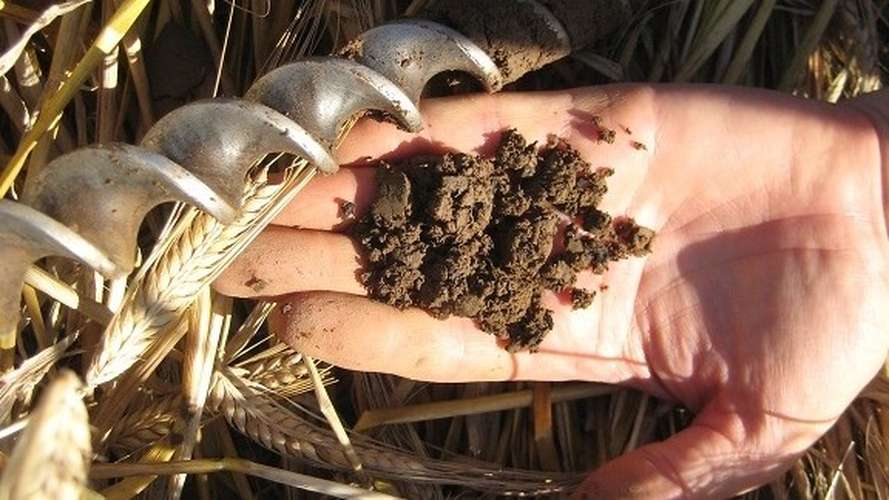 Hand holding earth