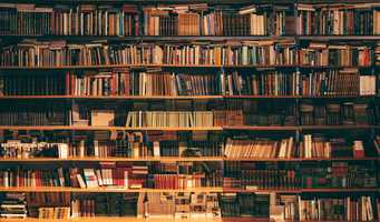 Lots of full bookshelves.