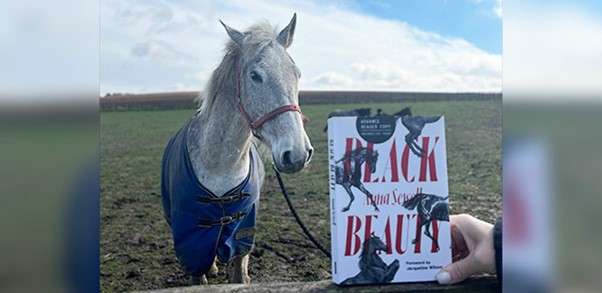Reading ‘Black Beauty’: Linking fiction, place and local history