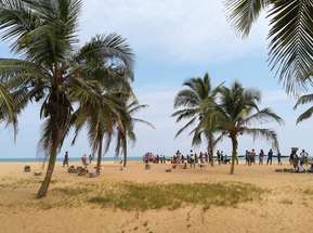 Beach with people and palm trees